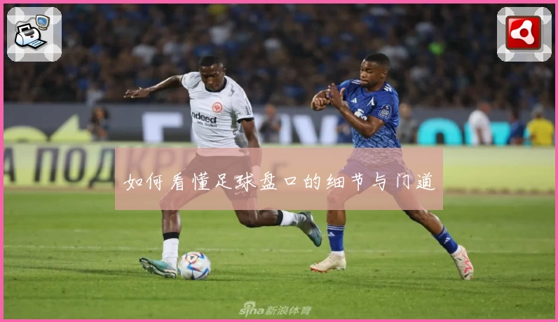 如何看懂足球盘口的细节与门道