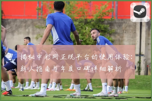 揭秘中彩网正规平台的使用体验：新人指南与年度口碑详细解析