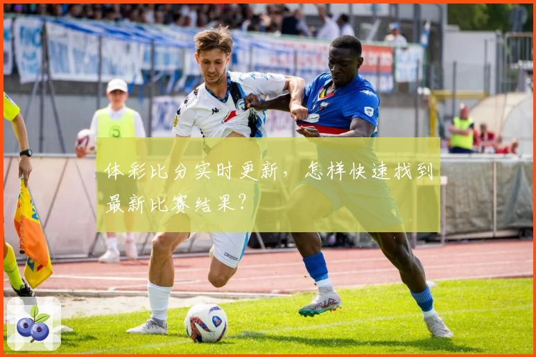 体彩比分实时更新,怎样快速找到最新比赛结果?