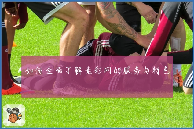 如何全面了解竞彩网的服务与特色